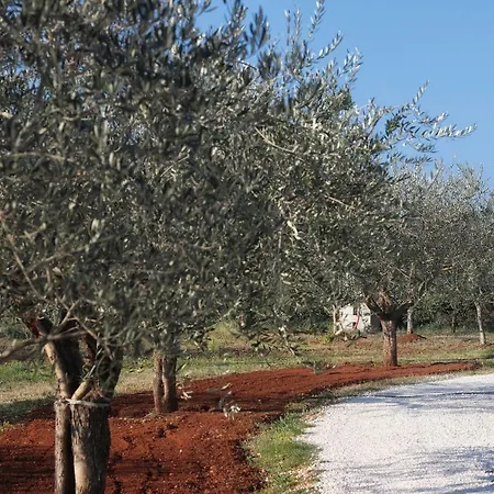 Casa vacanze Casa Vesna *